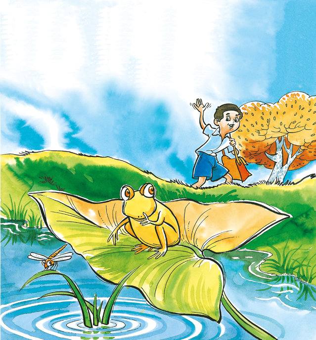 Picture for page 1