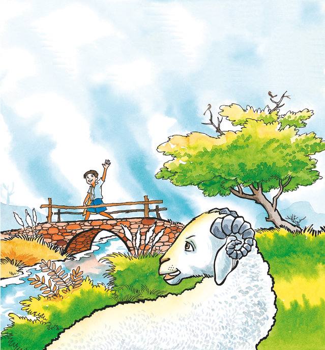 Picture for page 4