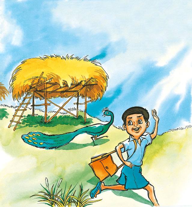 Picture for page 5