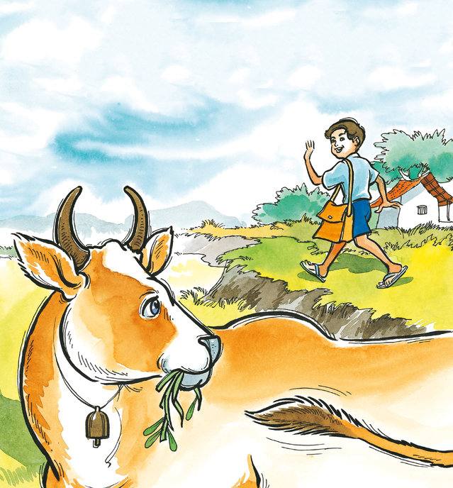 Picture for page 6