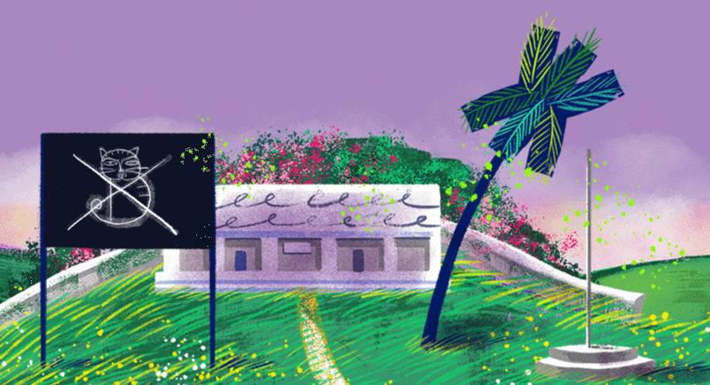 Picture for page 7