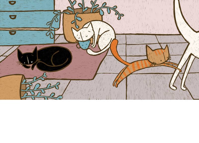Picture for page 3