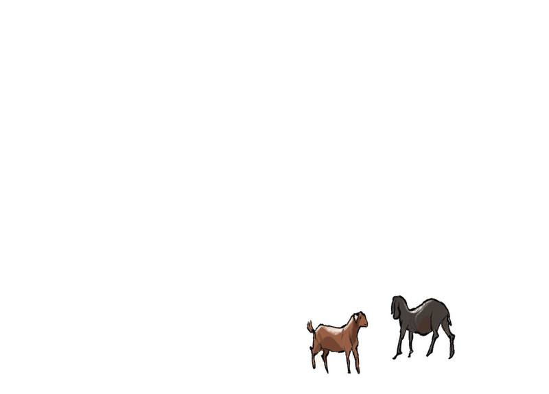 Picture for page 5