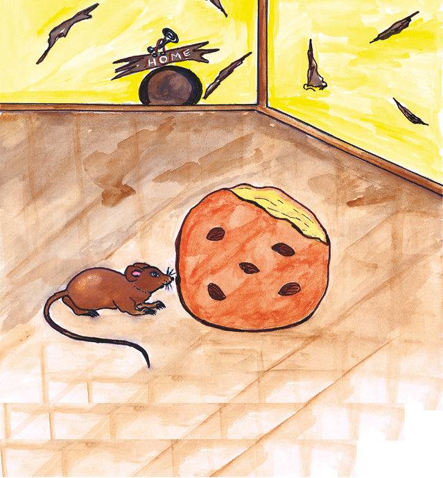 Picture for page 1