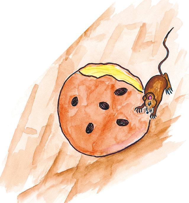 Picture for page 4