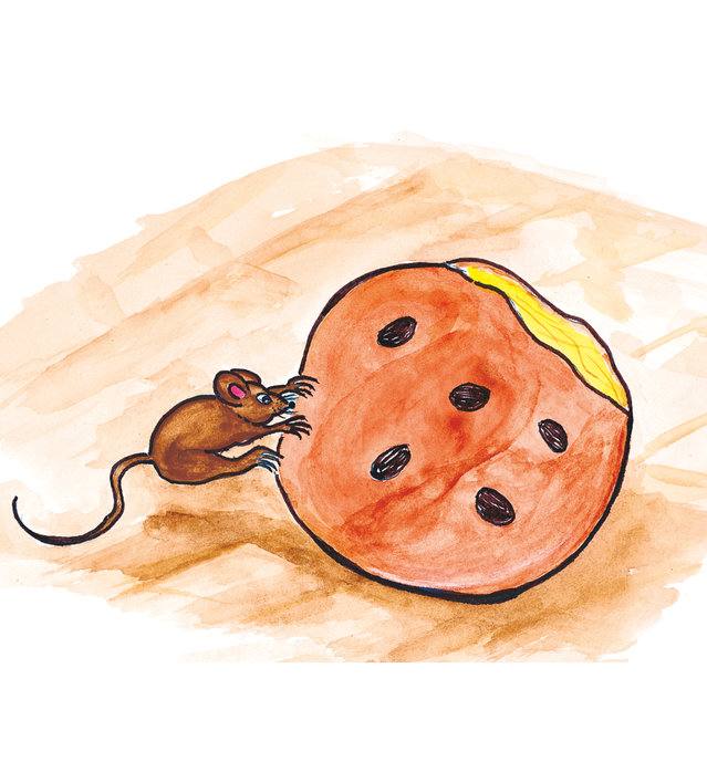 Picture for page 5