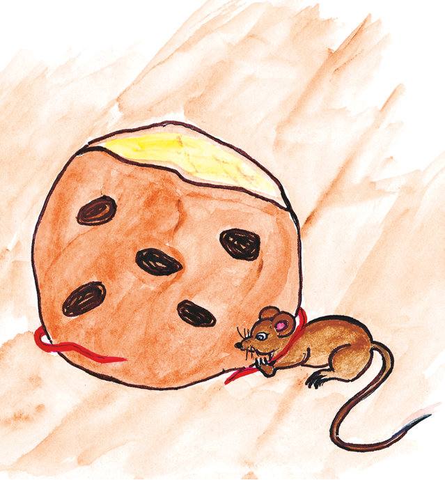 Picture for page 6