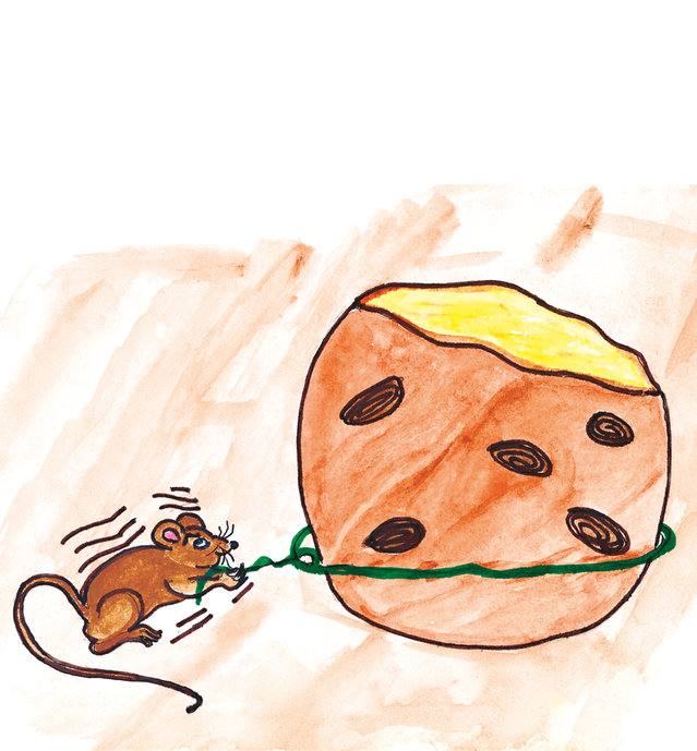 Picture for page 7