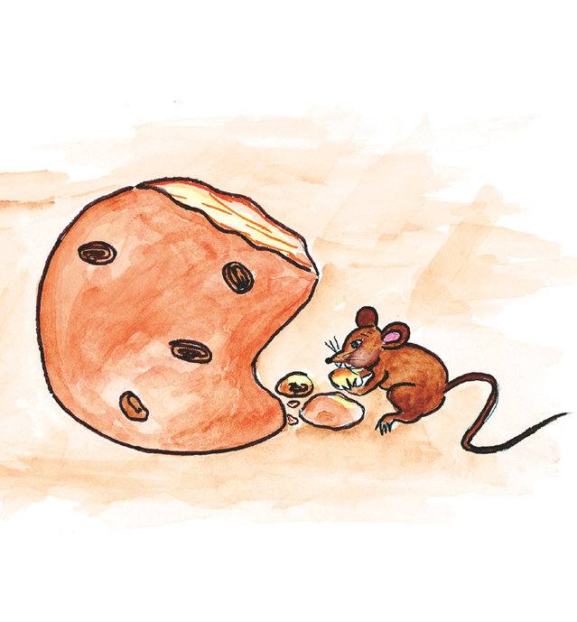 Picture for page 8