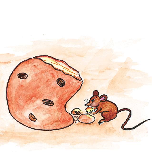 Picture for page 9