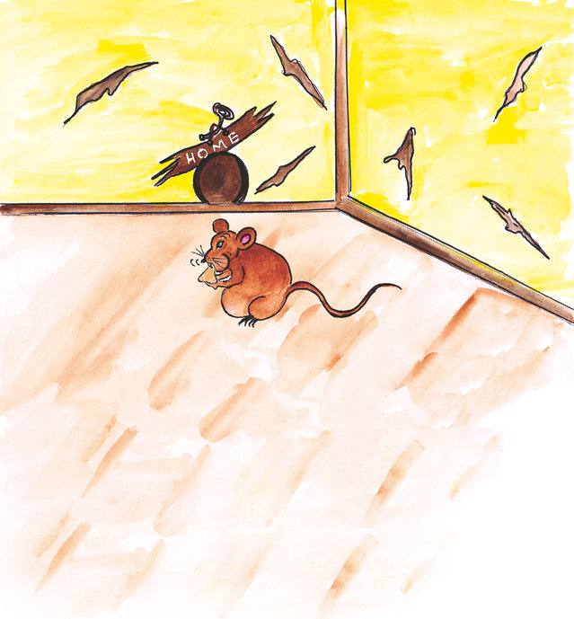 Picture for page 10