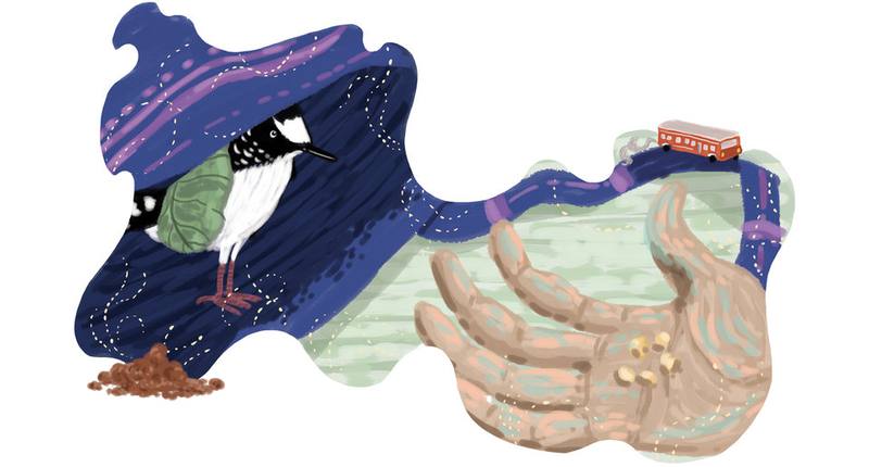 Picture for page 8