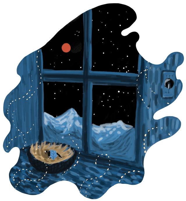 Picture for page 14