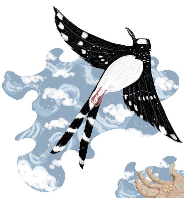 Picture for page 15