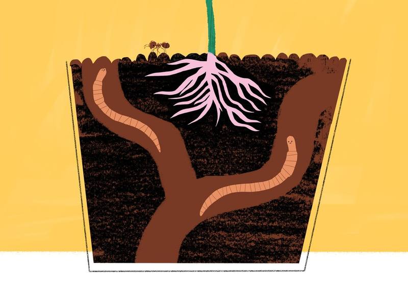 Picture for page 6
