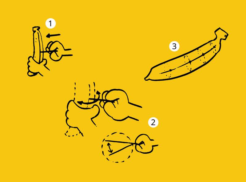 Picture for page 11