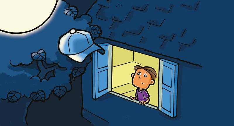 Picture for page 6