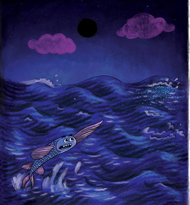 Picture for page 5