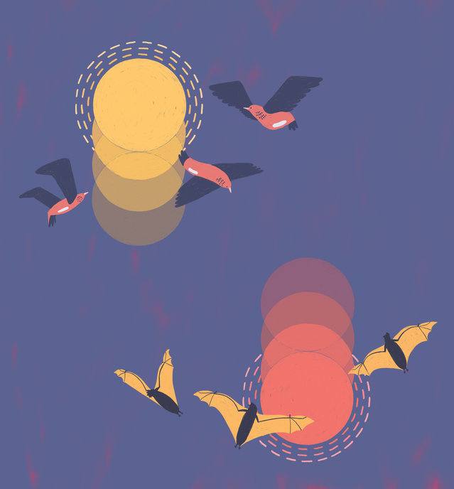 Picture for page 6