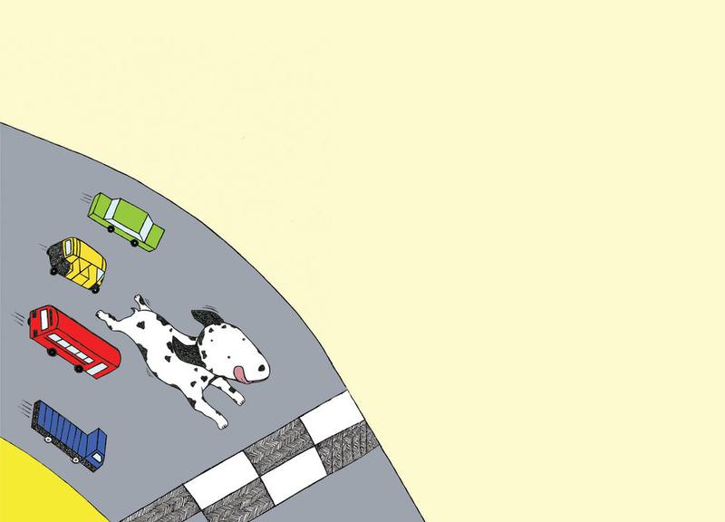 Picture for page 5