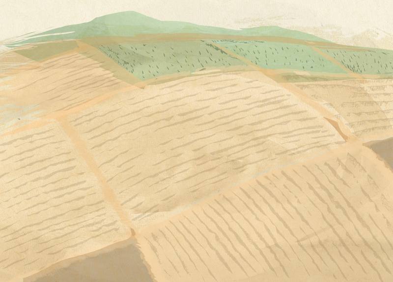 Picture for page 5