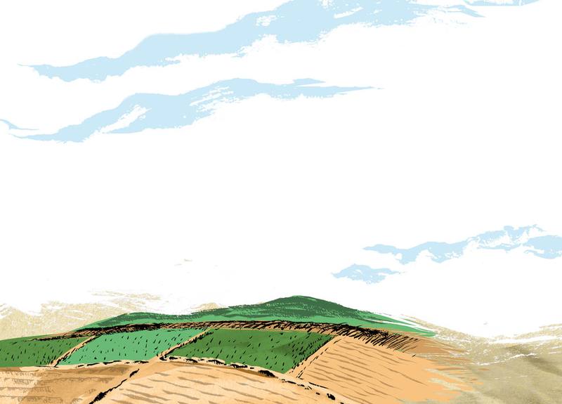 Picture for page 7