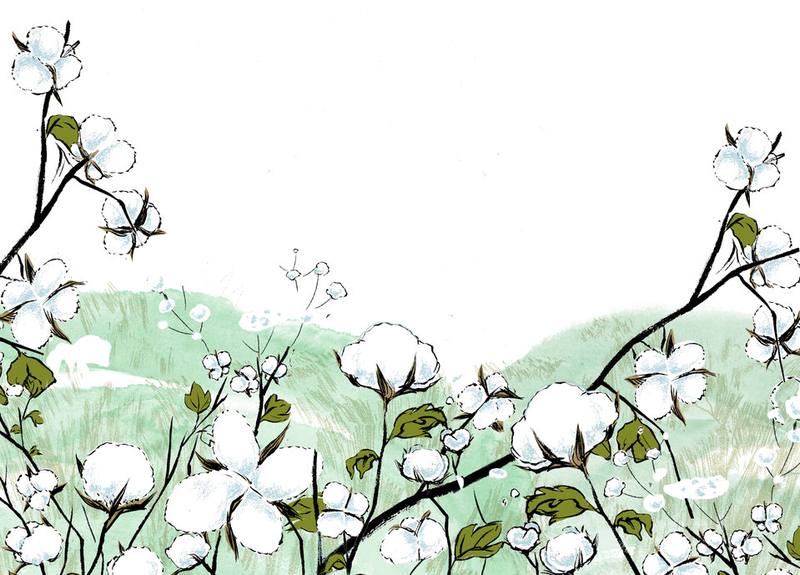 Picture for page 14