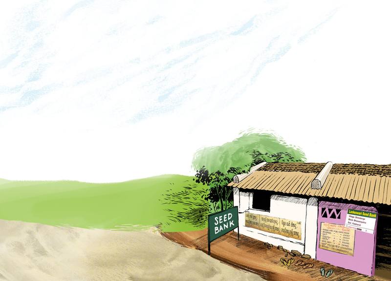 Picture for page 20