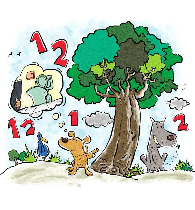 Picture for page 1