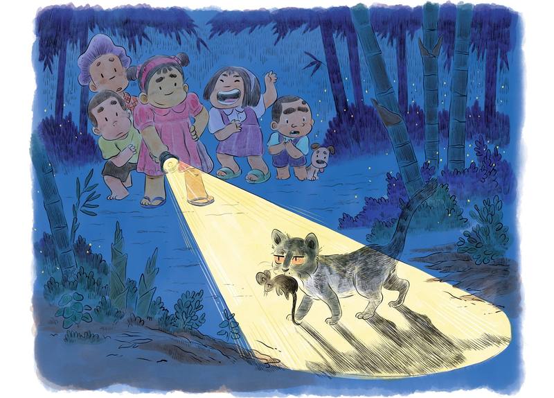 Picture for page 11