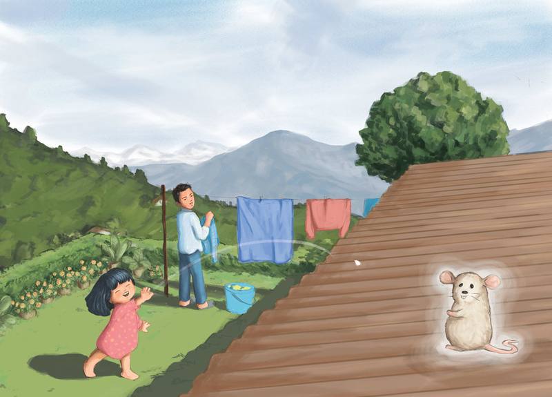 Picture for page 12