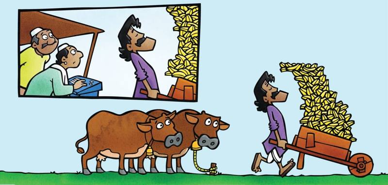 Picture for page 11