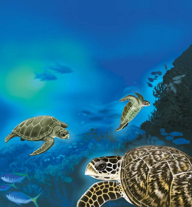 Picture for page 4
