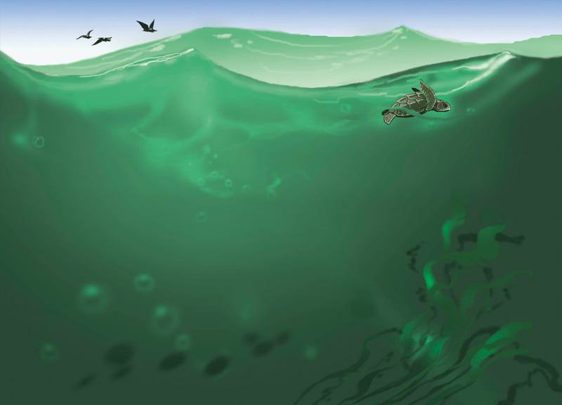 Picture for page 7