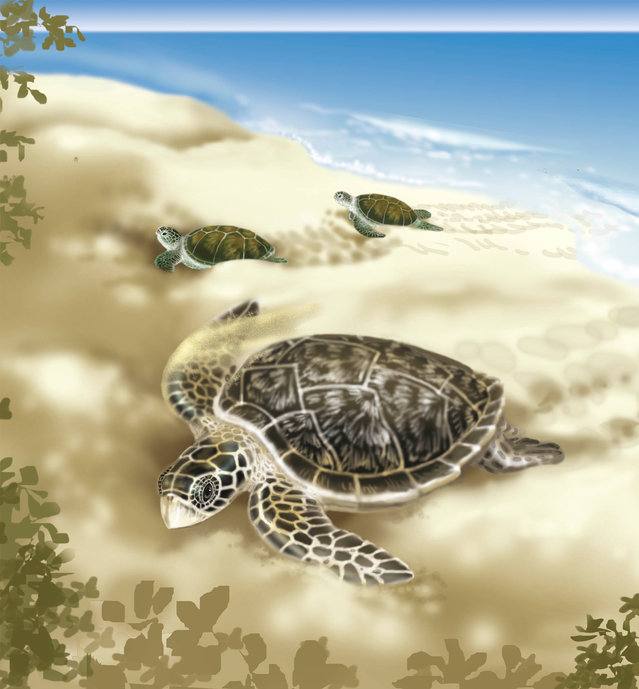Picture for page 9