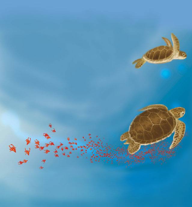 Picture for page 10