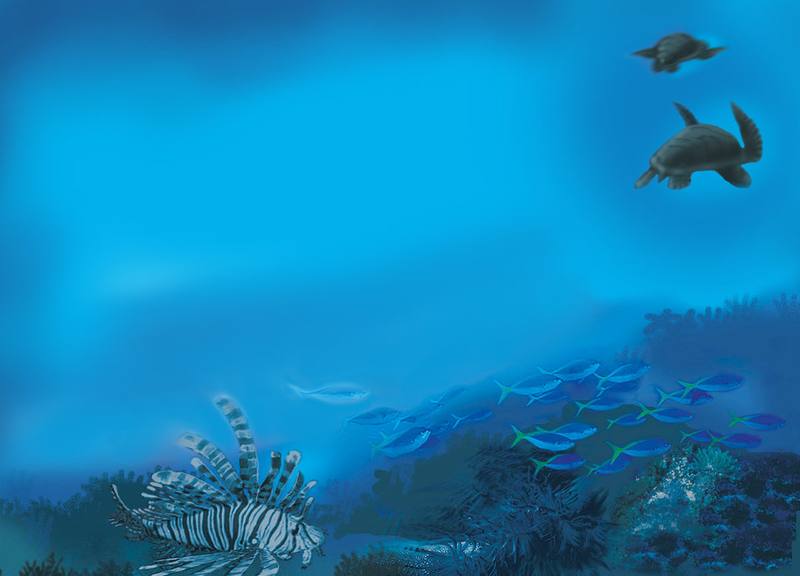 Picture for page 12