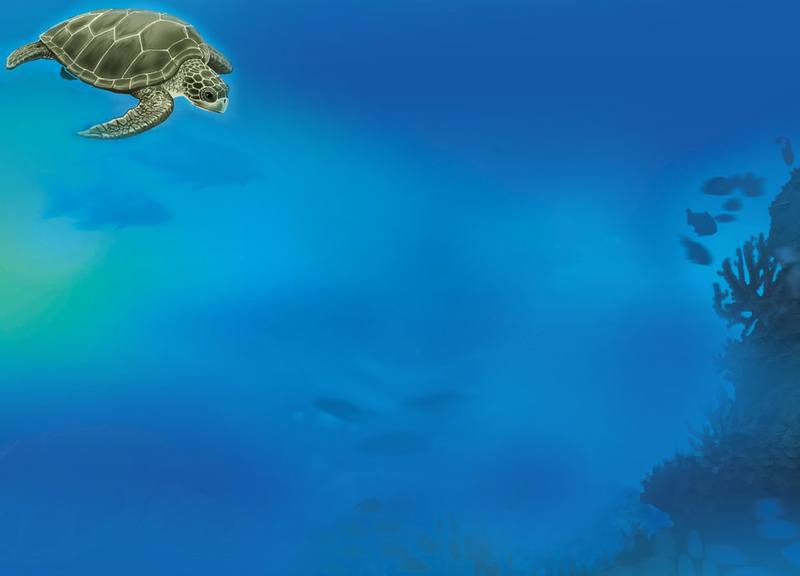 Picture for page 13