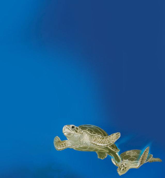 Picture for page 14