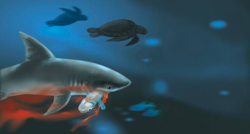 Picture for page 15