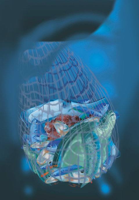 Picture for page 16