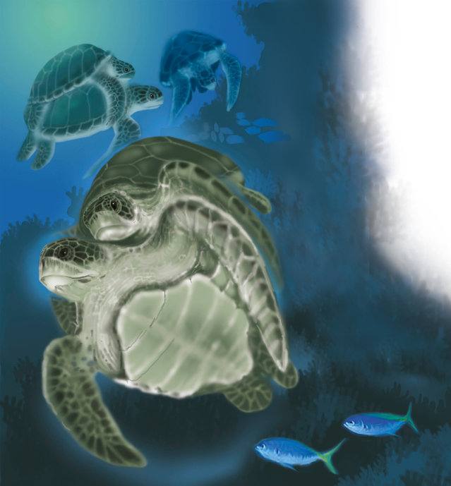 Picture for page 17