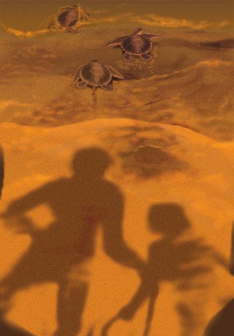 Picture for page 24
