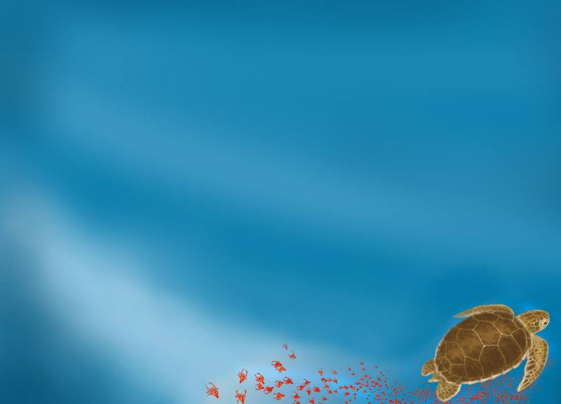 Picture for page 30