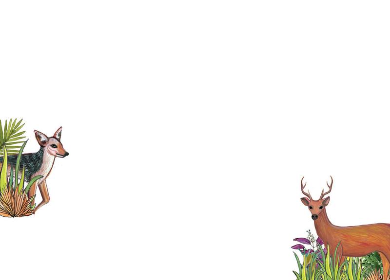 Picture for page 8