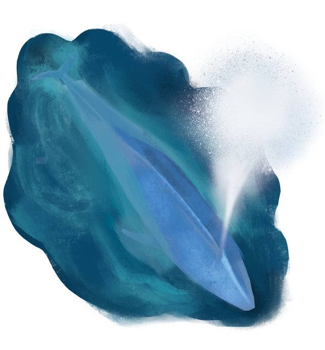 Picture for page 12