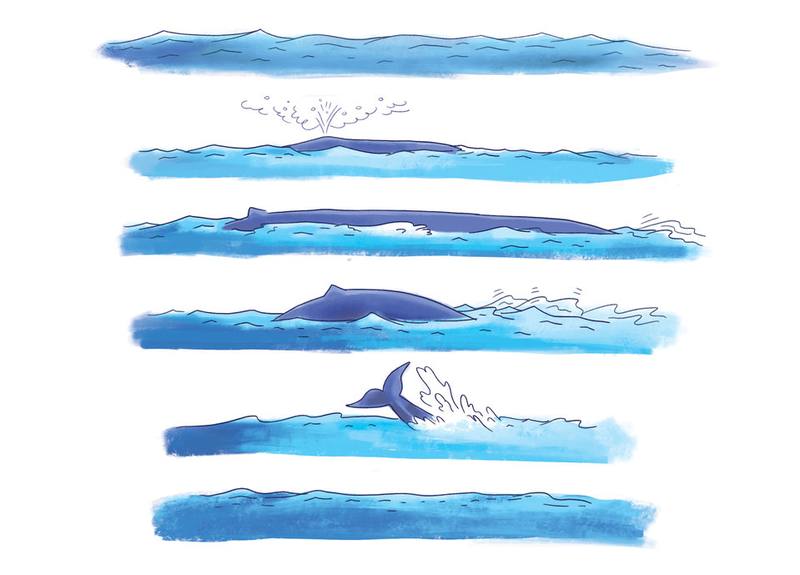 Picture for page 13