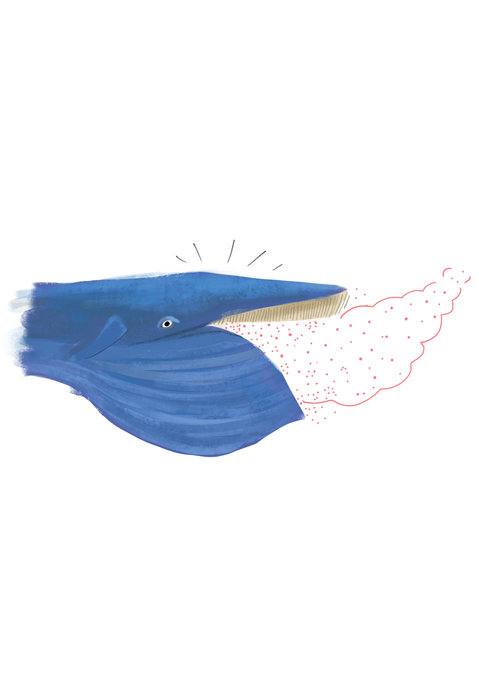 Picture for page 16