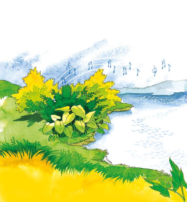 Picture for page 3