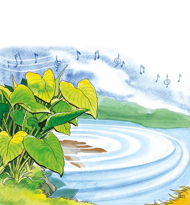 Picture for page 5